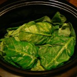 leafwraps