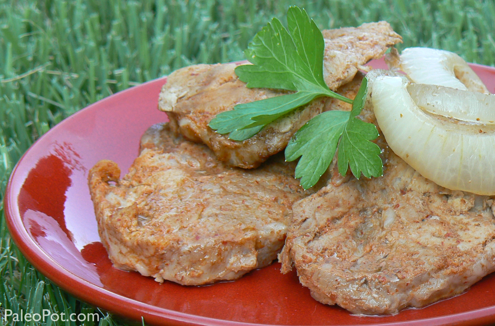 Red Curry Pork Medallions : PaleoPot – Easy Paleo Recipes – Crock ...