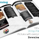 The Fat Burning Chef eBook - Review and Giveaway!